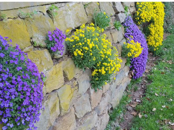 Alte Mauer mit Blumen - Beatrice von Singen - Symbole Märchen, Rituale Rauhnacht, Analyse Ahnenforschung Alte Mauer mit Blumen - Beatrice von Singen - Lebensberatung zur Selbstentfaltung